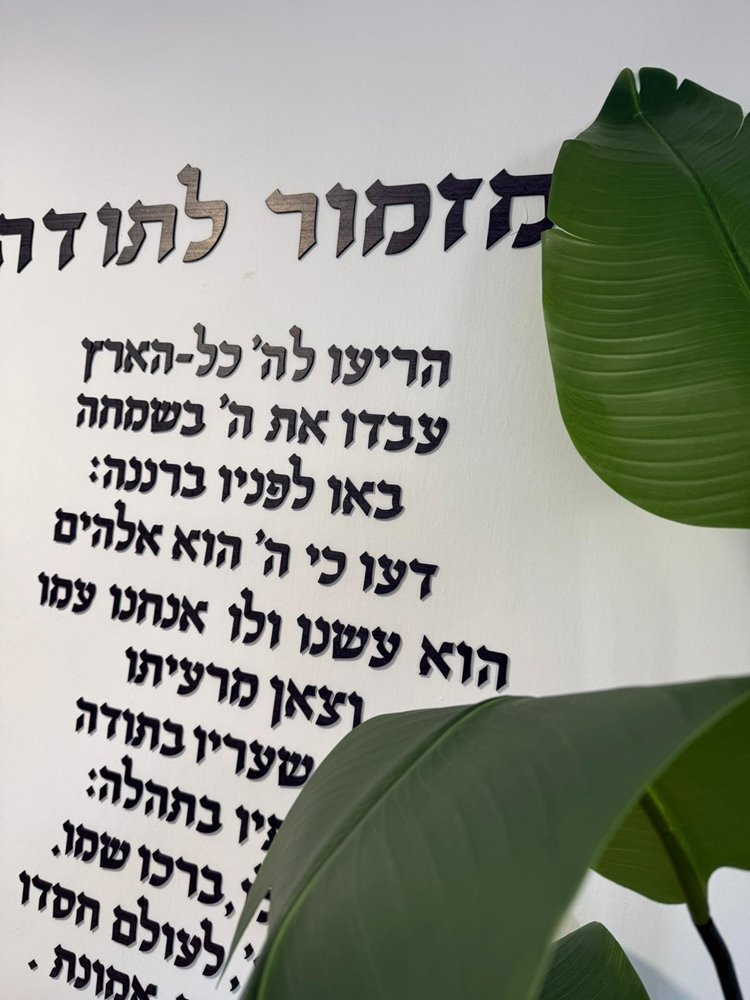 מזמור לתודה שחור מט גודל 160-60לאורך